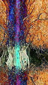 GALERIE:: Kunst digitale abstrakte Bilder